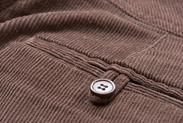 istock Velvet Pants Detail 172778841