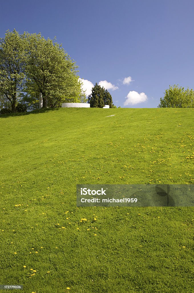 Verde Hill - Foto stock royalty-free di Agricoltura
