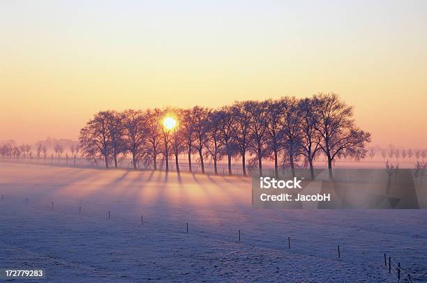 Winter Sunrise Stock Photo - Download Image Now - Netherlands, Winter, Fog