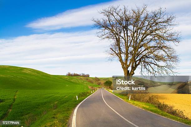 Verde Panorama - Fotografie stock e altre immagini di Agricoltura - Agricoltura, Ambientazione esterna, Ambientazione tranquilla