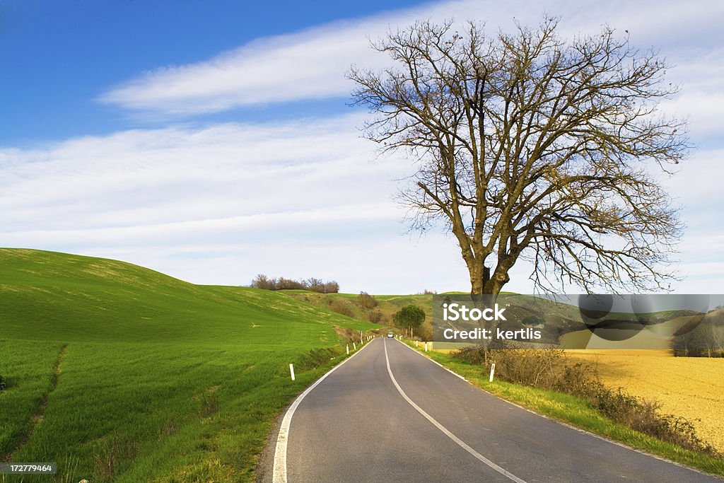 Зеленый панорама - Стоковые фото Бесконечность роялти-фри