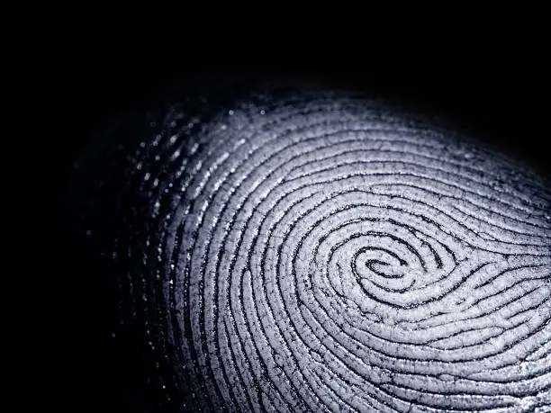 A whorl type fingerprint on a black background.