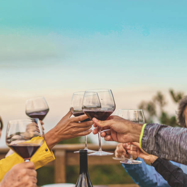 Toasting Wine Glasses at Sunset Close-up of raised wine glasses toasting at sunset outdoors. Square shot captures only hands, with a monochrome sky backdrop offering text space. golden hour wine stock pictures, royalty-free photos & images