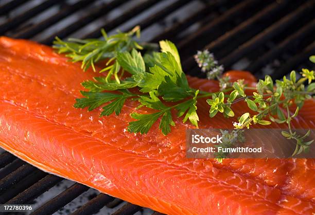 Küche Frische Meeresfrüchte Raw Blaurückenlachs Fischfilet Barbecuegrill Stockfoto und mehr Bilder von Filetiert