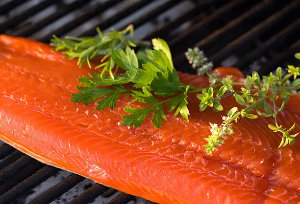 Fresh Raw Sockeye salmon fish fillet with herbs on barbeque grill. (SEE LIGHTBOXES BELOW for more seafood meals & cooking backgrounds...)