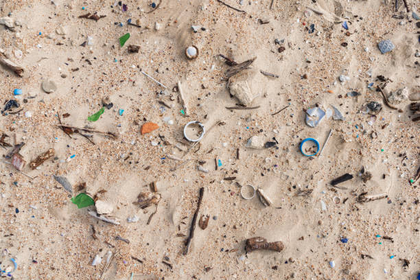 istock Plastic trash in sand on ocean beach. Pollution by microplastic rubbish on coastline 1727806500