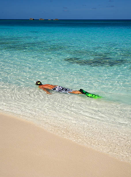 istock man snorkeling in the Bahamas 172780871