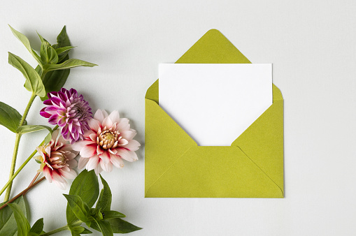Green envelope with clean white sheet of paper for your text and autumn flowers dahlias on gray background. Invitation to the holidays. Flat lay.