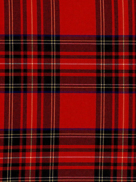 istock High resloution plaid fabric 172781336
