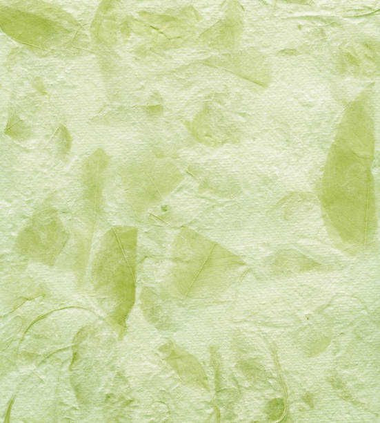 This high resolution embeded plant handmade paper stock photo is ideal for backgrounds, textures, prints, websites and many other botanical style art image uses!