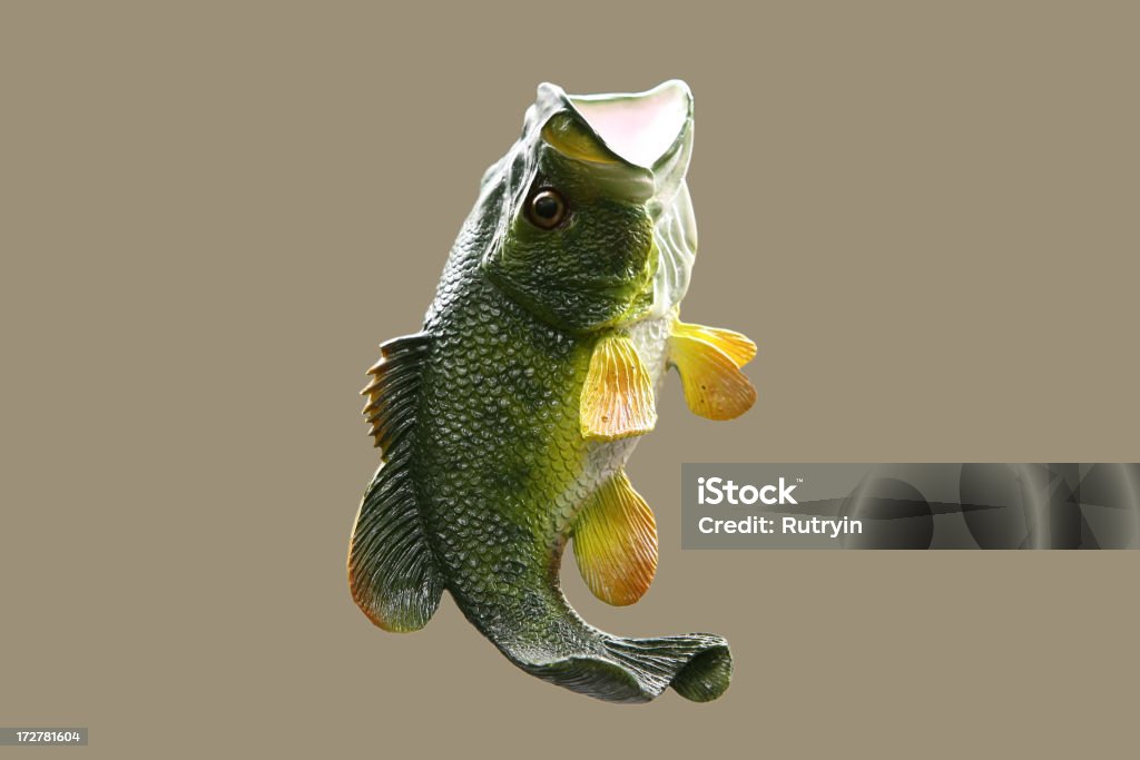중저음 - 로열티 프리 물고기 스톡 사진