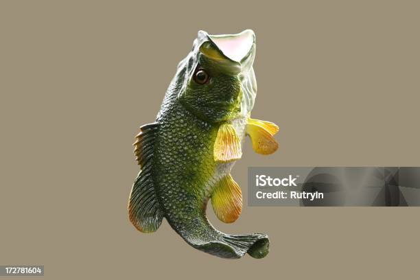 Bass - Fotografias de stock e mais imagens de Peixe - Peixe, Anzol de Pesca, Cor verde