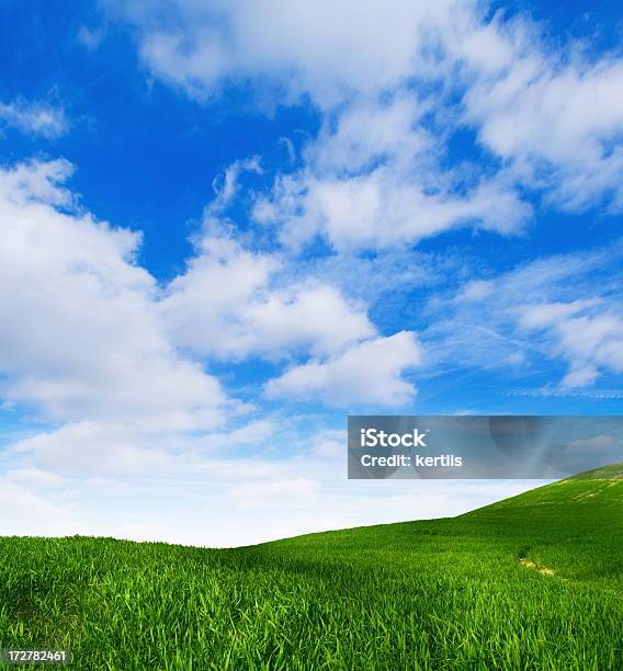 Zielone Pole - zdjęcia stockowe i więcej obrazów Chmura - Chmura, Dzielnica mieszkaniowa, Fotografika