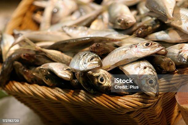 Cesta Con Pescado Foto de stock y más banco de imágenes de Aleta - Parte del cuerpo animal - Aleta - Parte del cuerpo animal, Alimento, Captura de peces