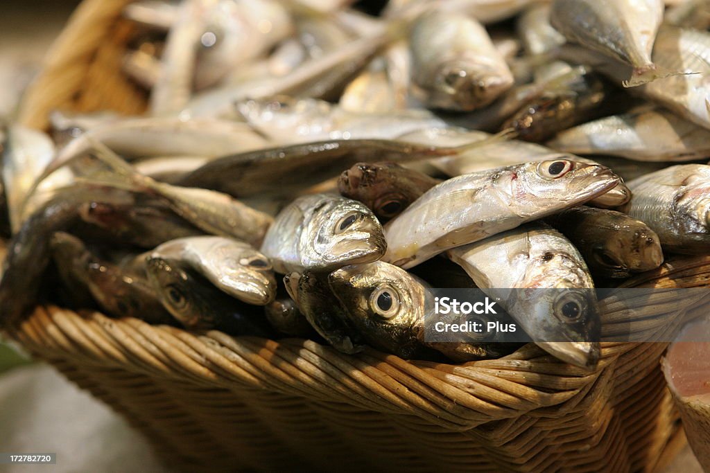 바스켓, 고기잡이 - 로열티 프리 가득 찬 스톡 사진