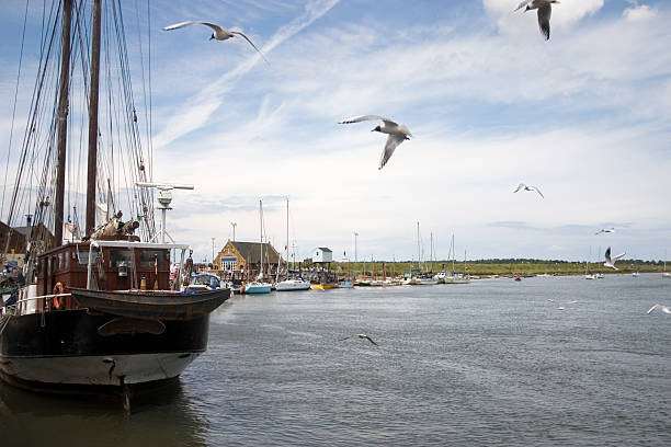 istock Wells Norfolk Coast 172783001
