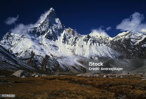 Photo libre de droit de Linde Himalaya Garhwalu banque d'images et plus d'images libres de droit de Alpinisme - Alpinisme, Asie, Caillou