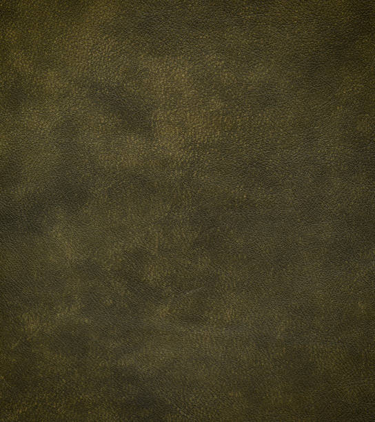 vert en cuir vieilli - leather green hide textured effect photos et images de collection