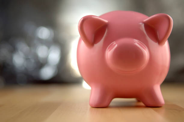 istock piggy bank series 172783550