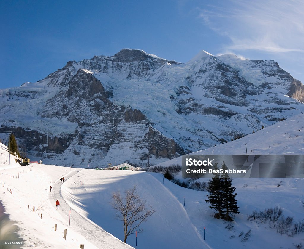 Viajes; Jungfrau y Sliberhorn - Foto de stock de Wengen libre de derechos