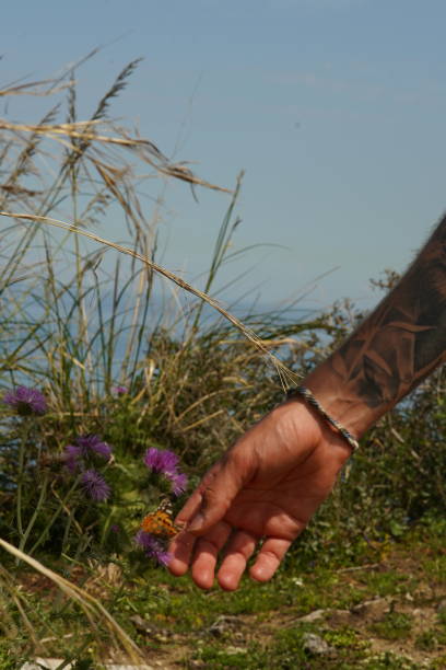 mano tocando flor en el prado con tatuajes - southern belle fotografías e imágenes de stock