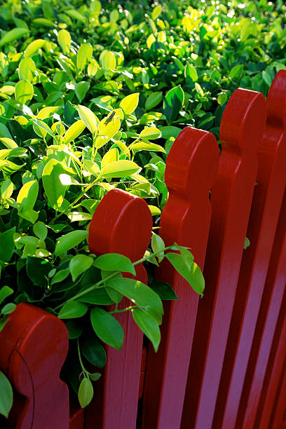 Red Fence with Leaves stock photo