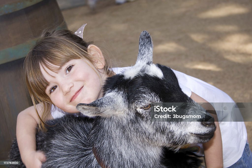 Fattoria didattica divertente bambina abbracciare un neonato Capra - Foto stock royalty-free di Capretto