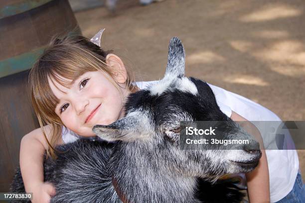 Fattoria Didattica Divertente Bambina Abbracciare Un Neonato Capra - Fotografie stock e altre immagini di Capretto