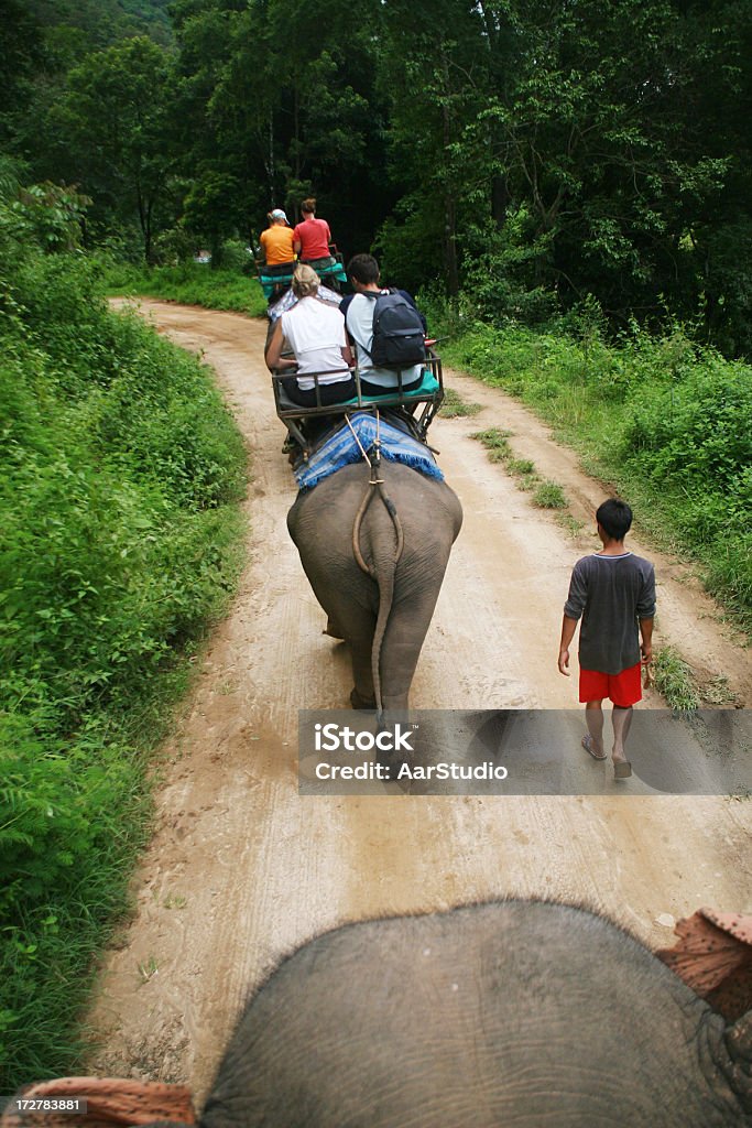 Elelphant 탈것 - 로열티 프리 군집 동물 스톡 사진