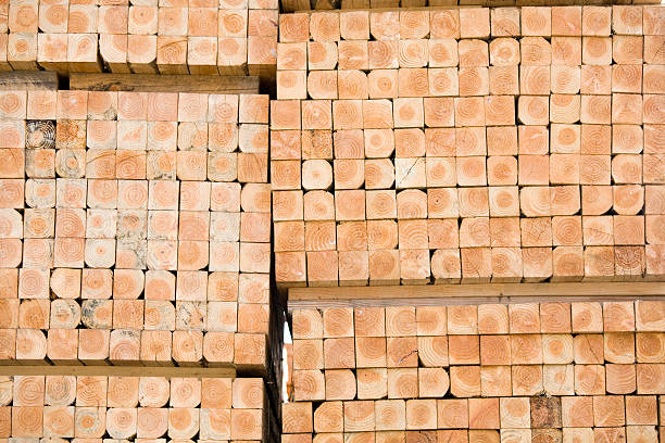 pilhas de madeira serrada - material variation timber stacking - fotografias e filmes do acervo
