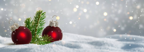 two red christmas sphere and conifer decoration in deep snow on abstract blurred background, winter backdrop for merry xmas greeting card with copy space