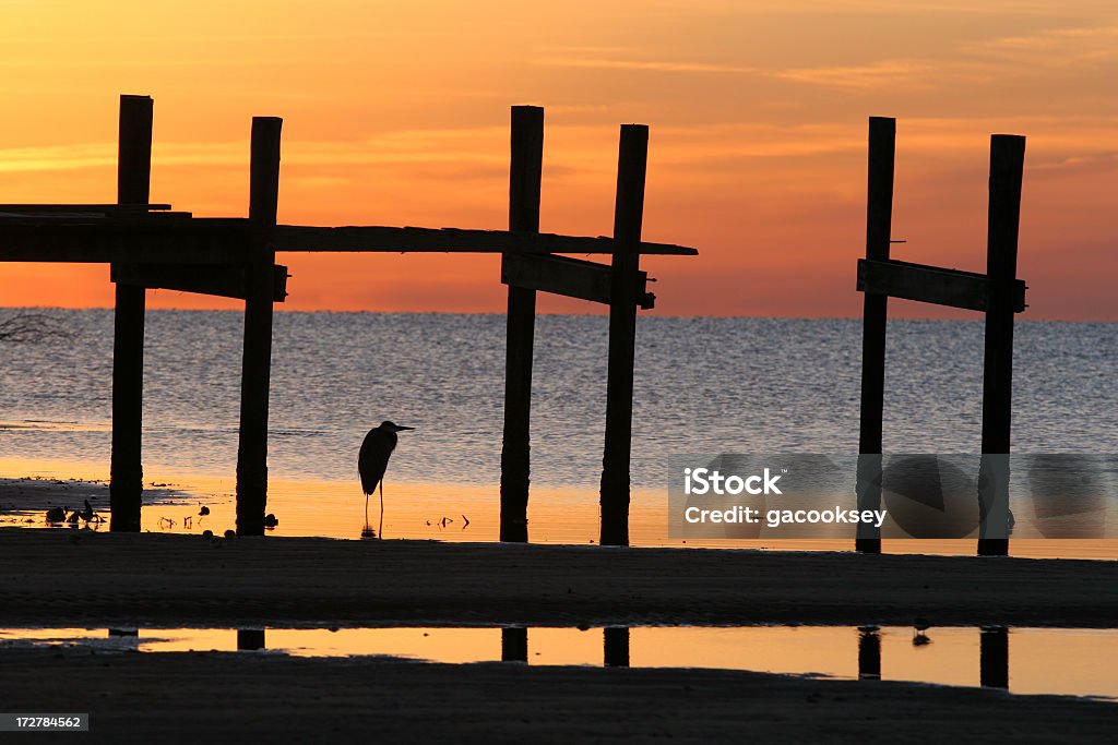 Sonnenaufgang und pier heron - Lizenzfrei Abgeschiedenheit Stock-Foto