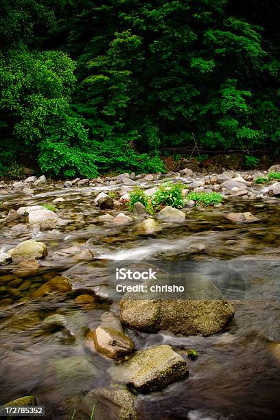 Rio Flui Através De Hakone Japão - Fotografias de stock e mais imagens de Ao Ar Livre - Ao Ar Livre, Cair, Cascata