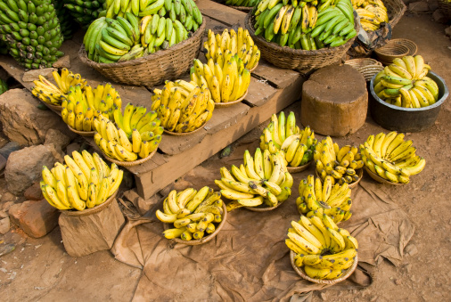 Banana market in Africa. The bananas are portioned for display.Other images;