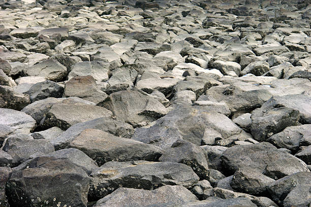 Stone Coastline stock photo