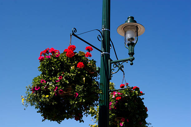istock Beautiful Hanging Basket in Old Town 172786655