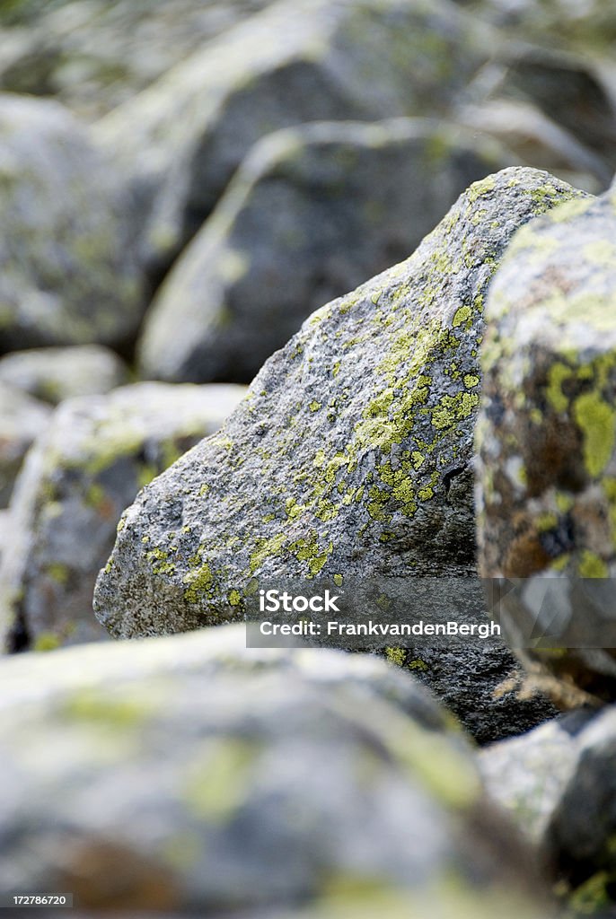 Rock Rocks covered with lichen.Other images; Backgrounds Stock Photo