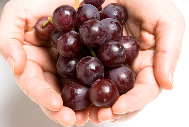 Las uvas retención - foto de stock
