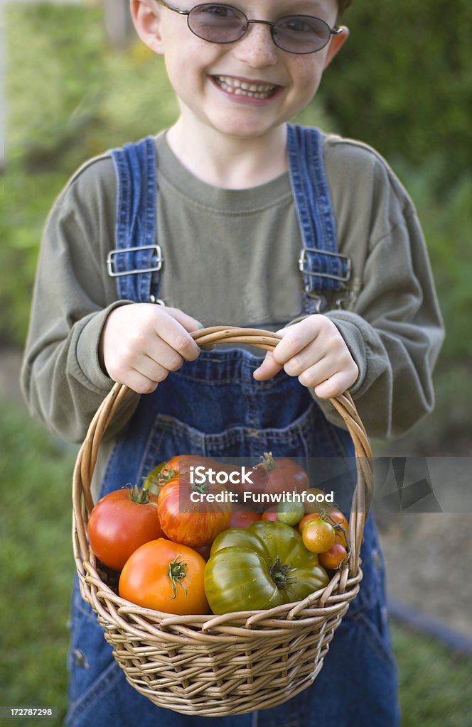 남자아이 Farmer & 바구니, 어린이 정원 수확 토종 토마토 야채면 - 로열티 프리 4-5세 스톡 사진