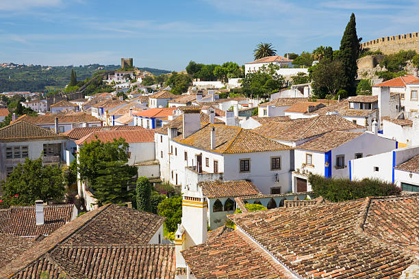 istock Obidos, Portugal 172787531