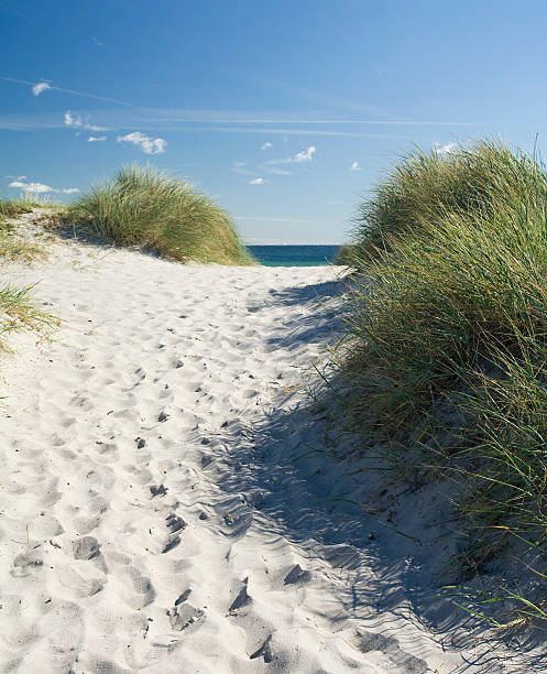 istock Summer beach with sand, sea and blue sky. 172787878