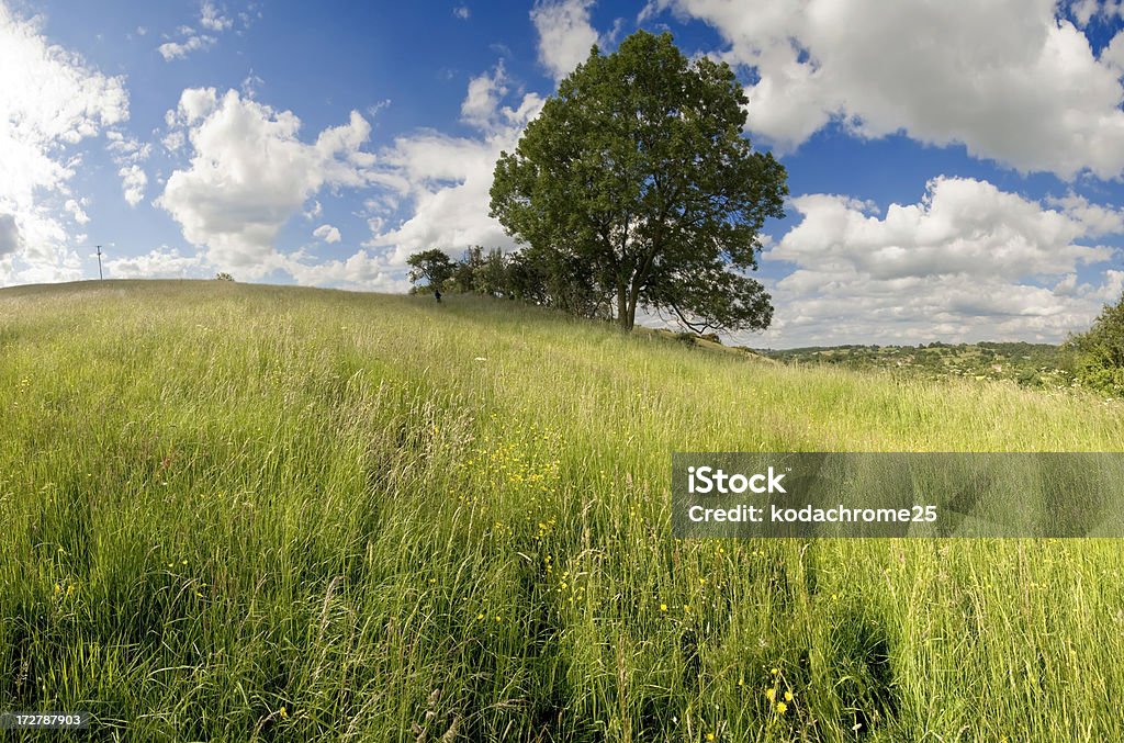 country estate - Foto de stock de Agricultura royalty-free