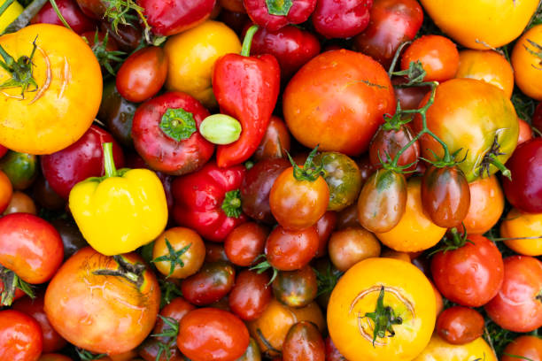istock Freshly harvested multi-colored tomatoes and pepper mix 1727879482