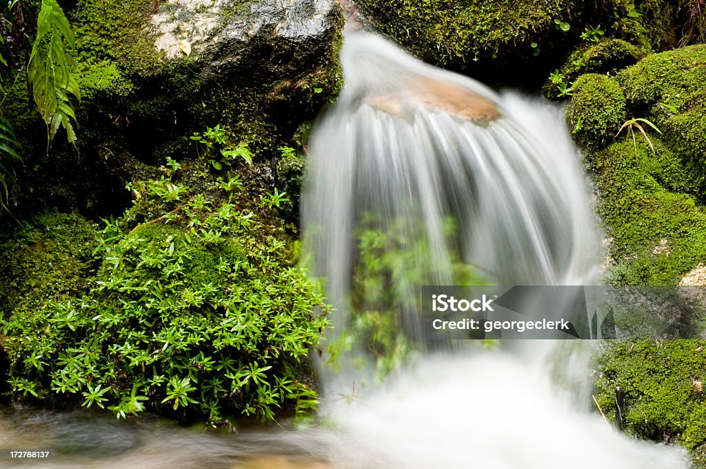 Natürliche Entspannung - Lizenzfrei Abel Tasman-Nationalpark Stock-Foto