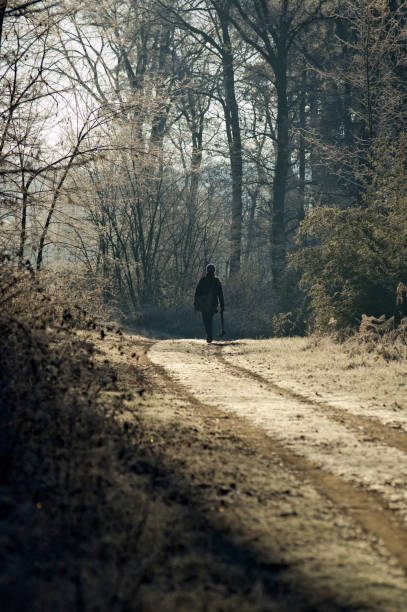 istock Lone person walking in the forest 172788162
