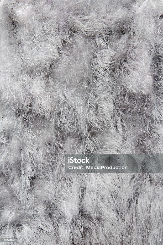 Ostrich feathers ostrich feathers close up Animal Stock Photo