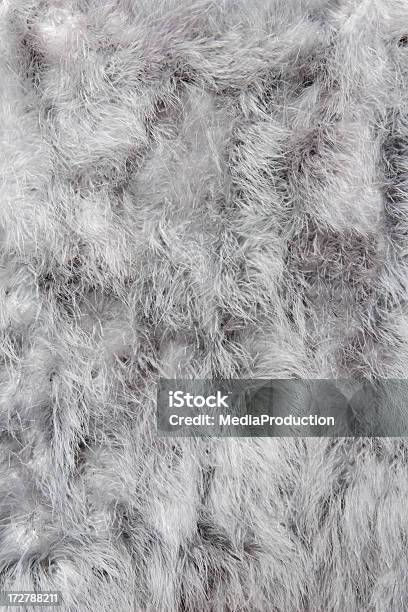 Ostrich Feathers Stock Photo - Download Image Now - Animal, Animal Body Part, Animal Hair