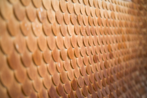 This is an unusual finish to a building. It is clad in individual wooden tiles shaped like fish scales.
