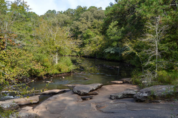 istock Line Creek Peachtree City, GA 1727886954