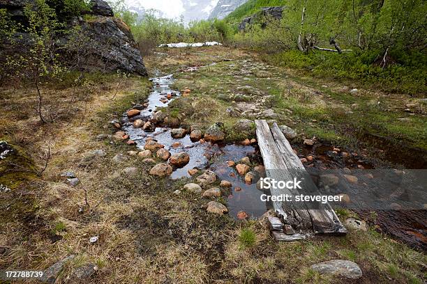 Rustic Bridge And Stream On A Rainy Day Stock Photo - Download Image Now - Bridge - Built Structure, Europe, Extreme Terrain